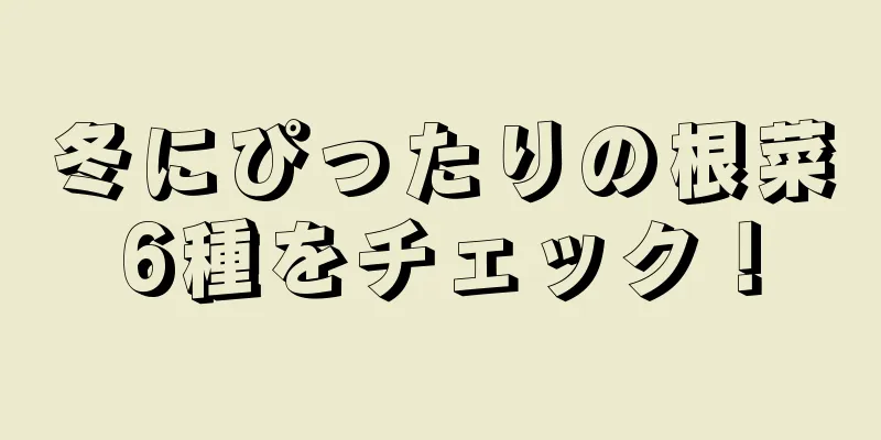 冬にぴったりの根菜6種をチェック！