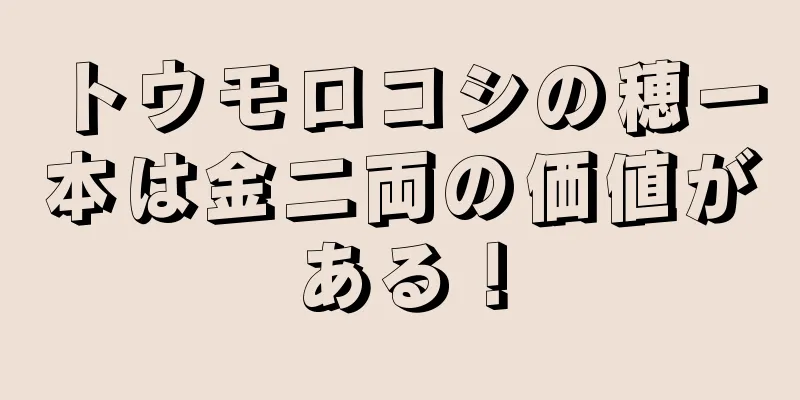 トウモロコシの穂一本は金二両の価値がある！