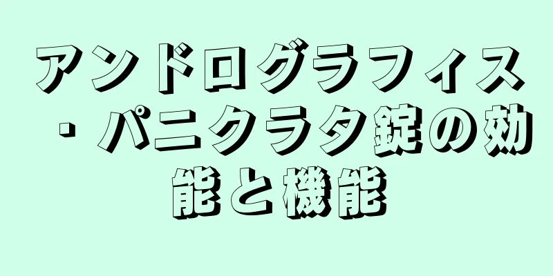 アンドログラフィス・パニクラタ錠の効能と機能