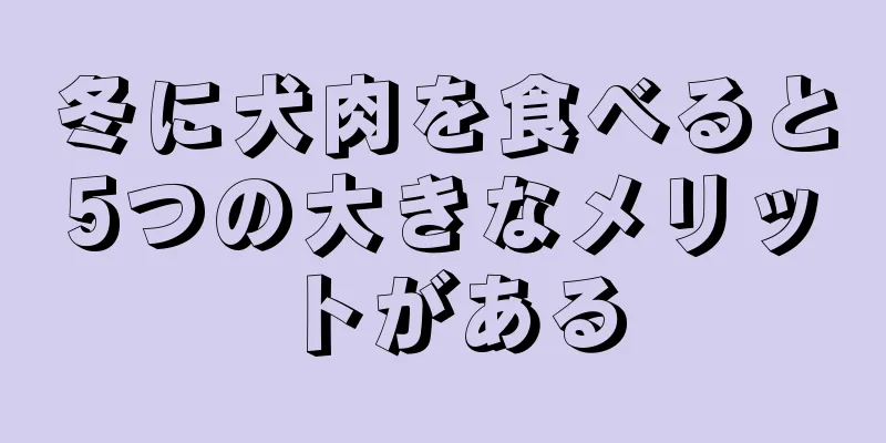 冬に犬肉を食べると5つの大きなメリットがある