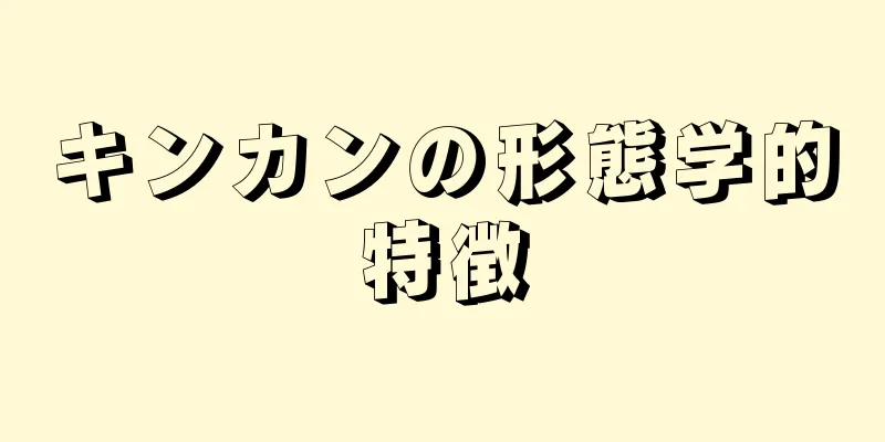 キンカンの形態学的特徴