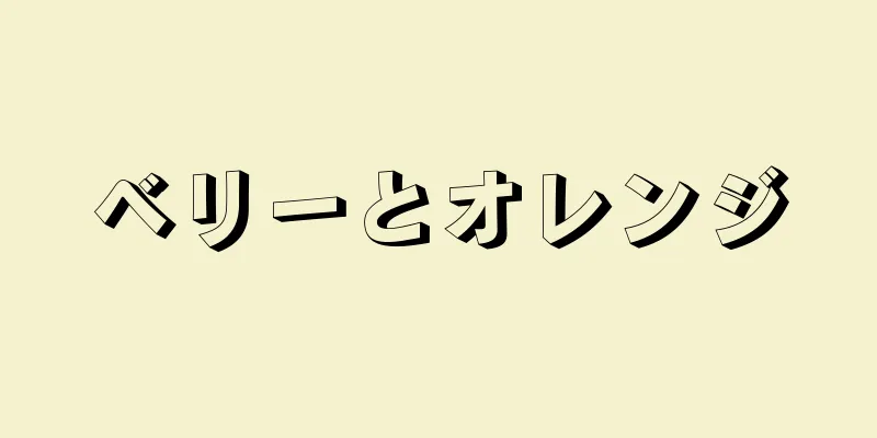 ベリーとオレンジ