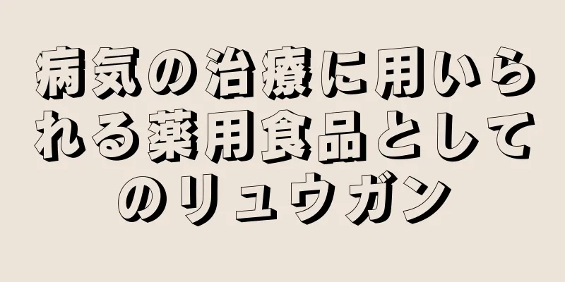 病気の治療に用いられる薬用食品としてのリュウガン