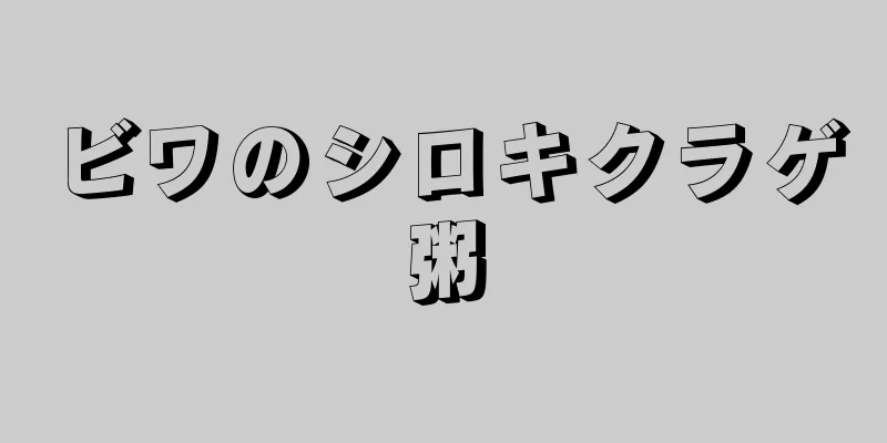 ビワのシロキクラゲ粥