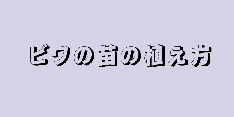 ビワの苗の植え方