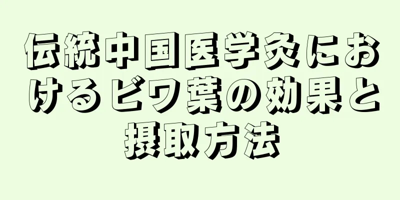 伝統中国医学灸におけるビワ葉の効果と摂取方法