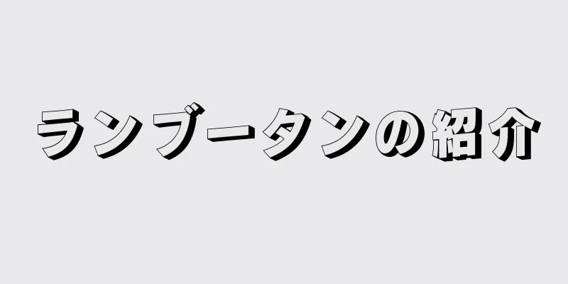 ランブータンの紹介