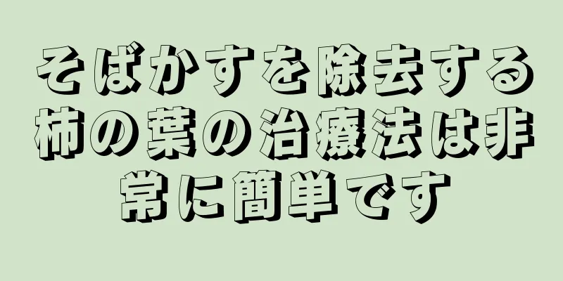 そばかすを除去する柿の葉の治療法は非常に簡単です