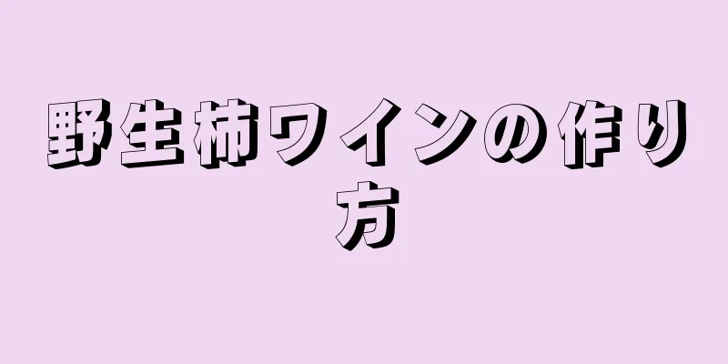 野生柿ワインの作り方