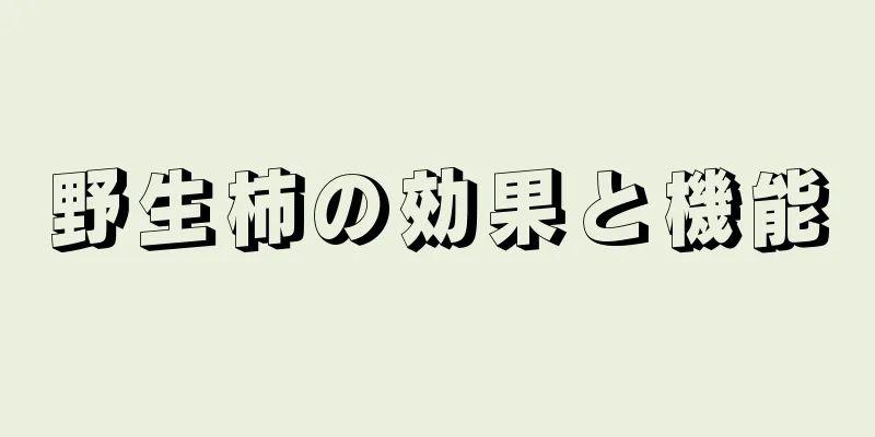 野生柿の効果と機能