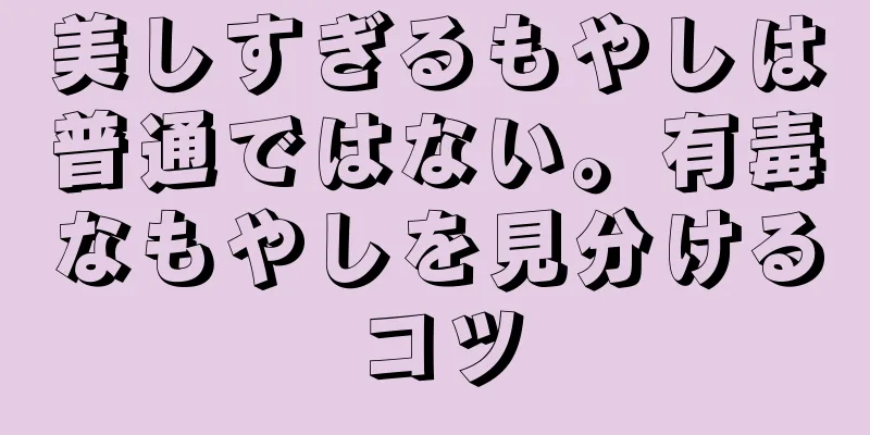 美しすぎるもやしは普通ではない。有毒なもやしを見分けるコツ