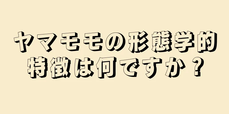 ヤマモモの形態学的特徴は何ですか？