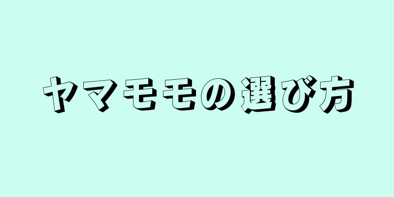 ヤマモモの選び方