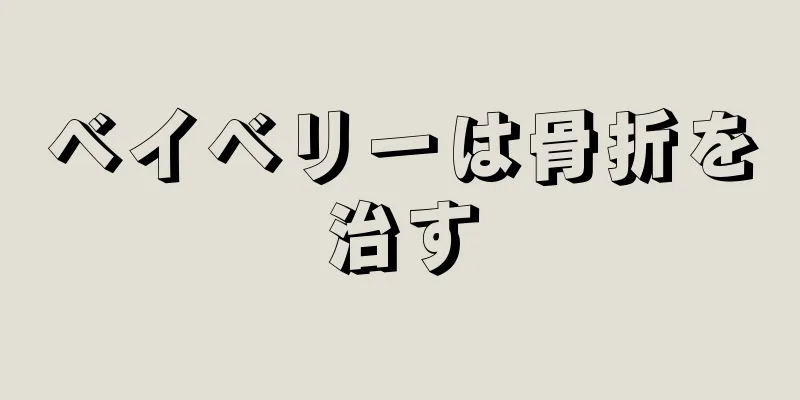 ベイベリーは骨折を治す