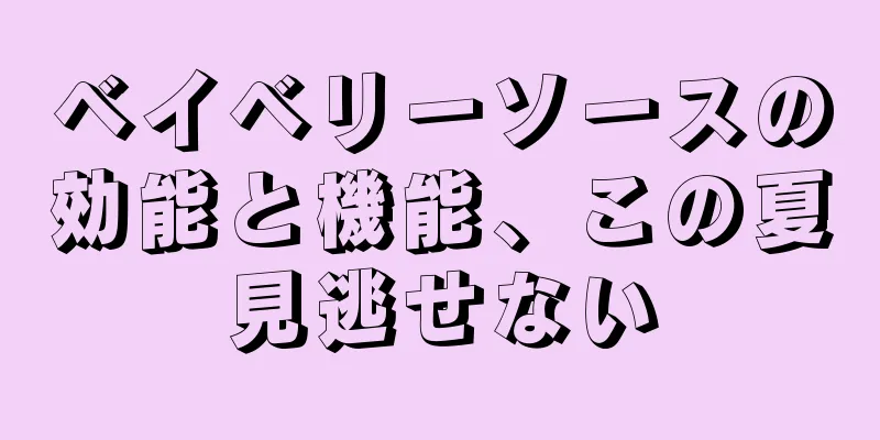 ベイベリーソースの効能と機能、この夏見逃せない