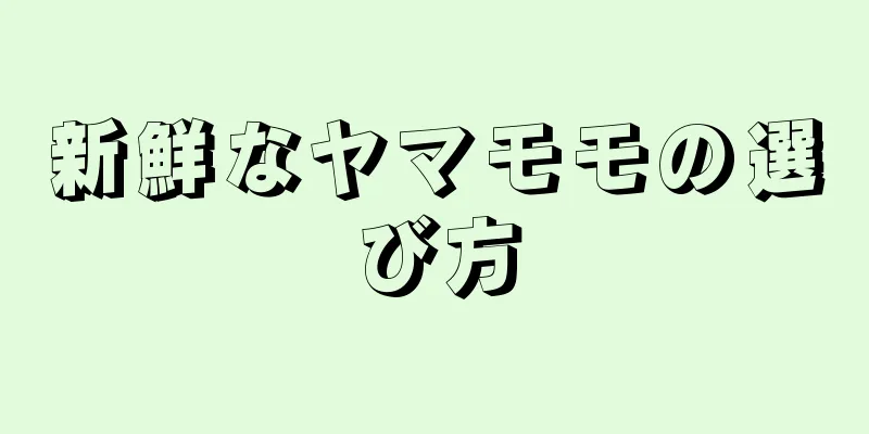 新鮮なヤマモモの選び方