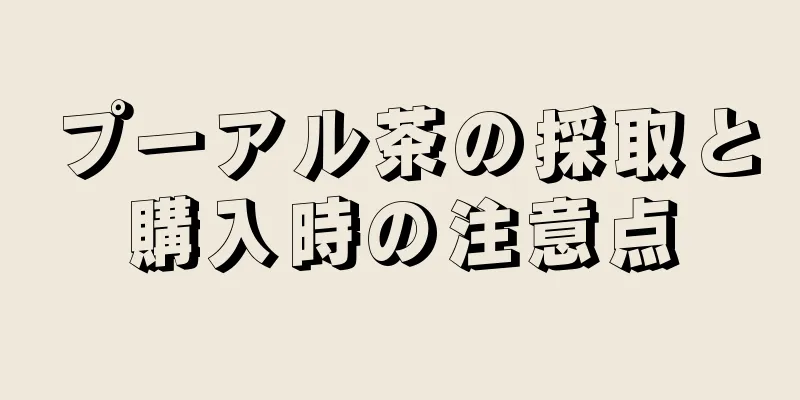 プーアル茶の採取と購入時の注意点