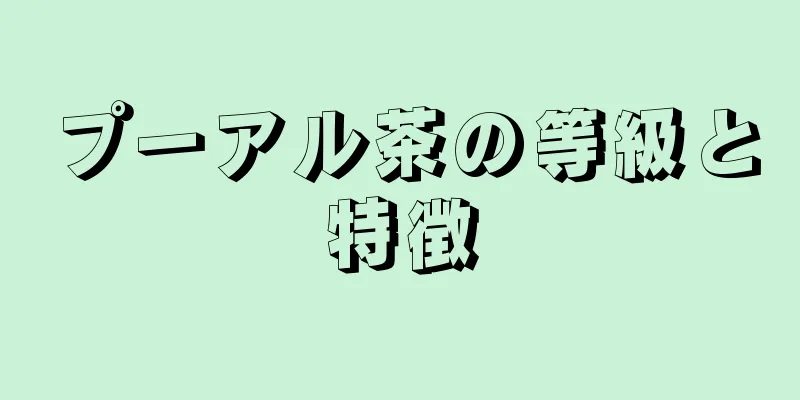 プーアル茶の等級と特徴