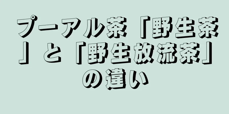 プーアル茶「野生茶」と「野生放流茶」の違い