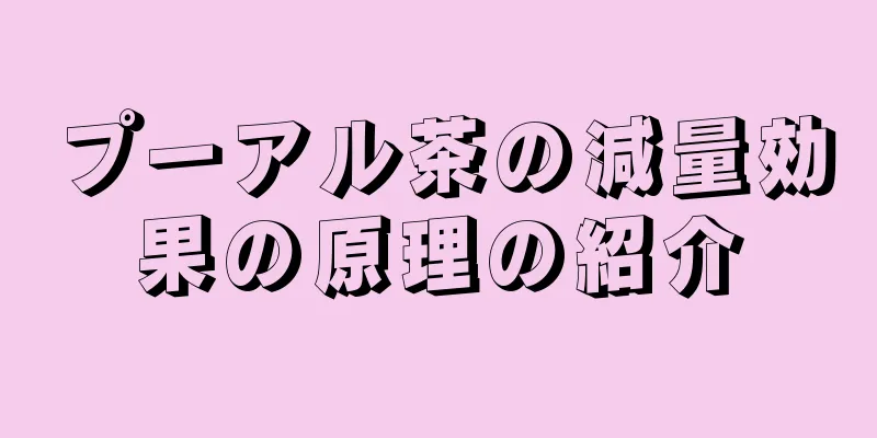 プーアル茶の減量効果の原理の紹介