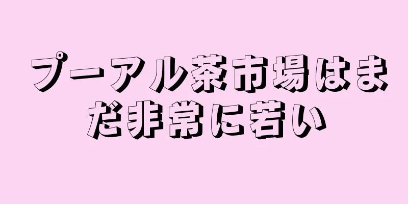 プーアル茶市場はまだ非常に若い