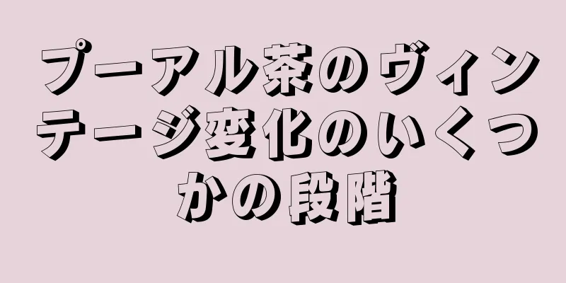 プーアル茶のヴィンテージ変化のいくつかの段階