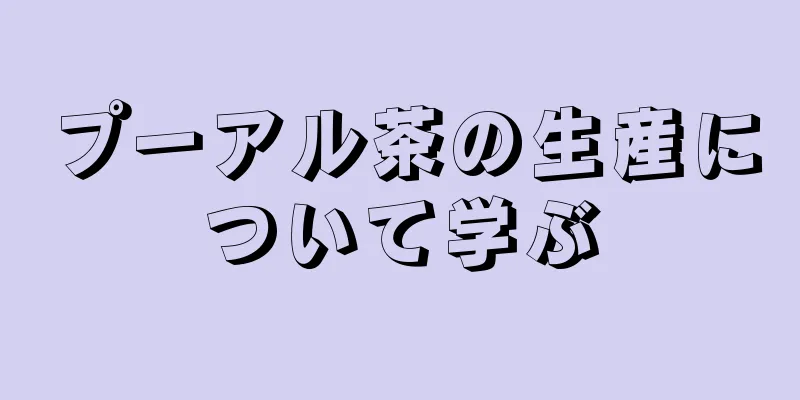 プーアル茶の生産について学ぶ