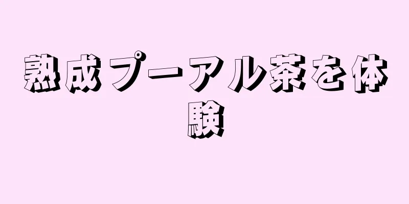 熟成プーアル茶を体験