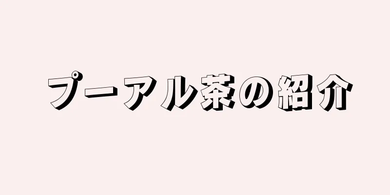 プーアル茶の紹介