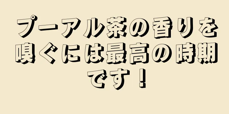 プーアル茶の香りを嗅ぐには最高の時期です！