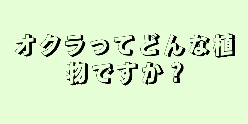 オクラってどんな植物ですか？