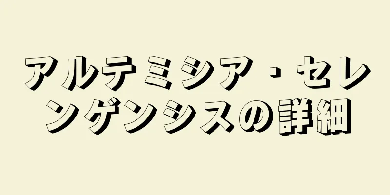 アルテミシア・セレンゲンシスの詳細