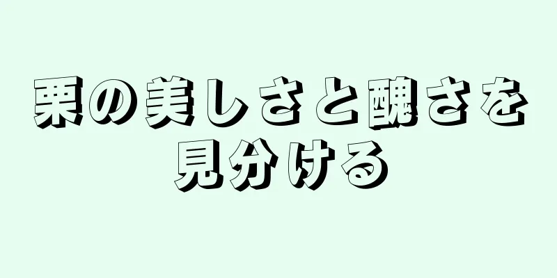 栗の美しさと醜さを見分ける