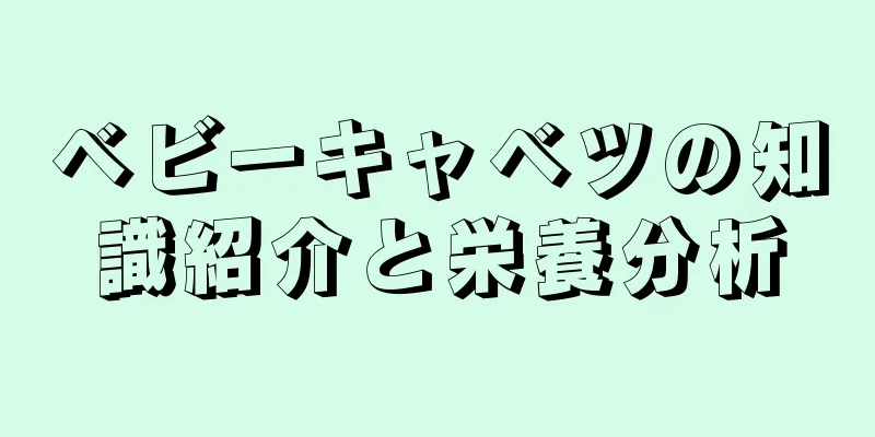 ベビーキャベツの知識紹介と栄養分析