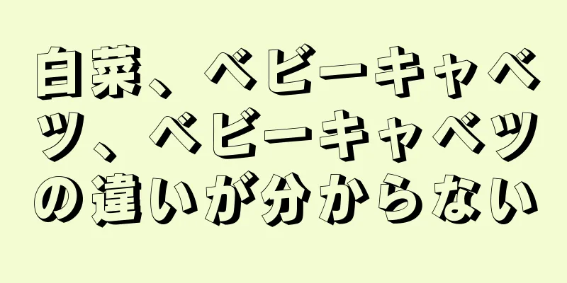 白菜、ベビーキャベツ、ベビーキャベツの違いが分からない