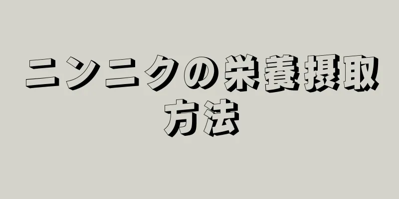 ニンニクの栄養摂取方法