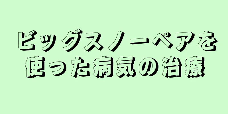 ビッグスノーペアを使った病気の治療