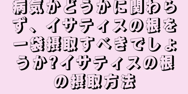 病気かどうかに関わらず、イサティスの根を一袋摂取すべきでしょうか?イサティスの根の摂取方法