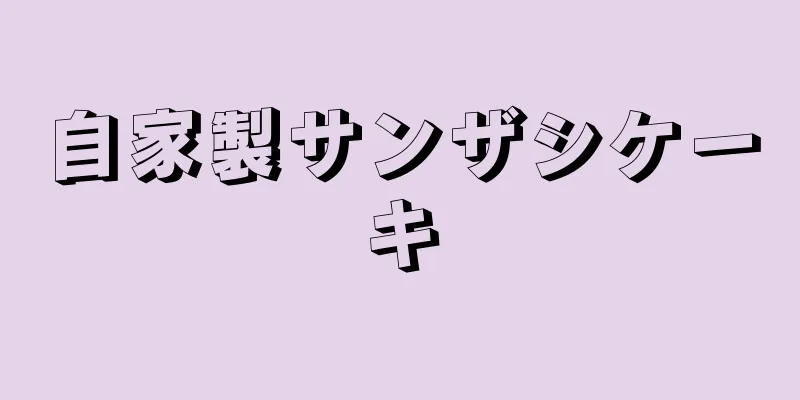 自家製サンザシケーキ