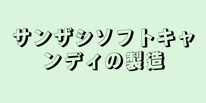 サンザシソフトキャンディの製造