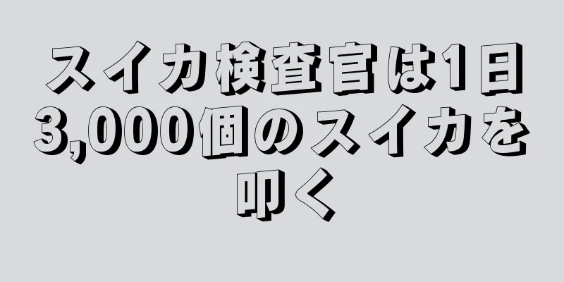 スイカ検査官は1日3,000個のスイカを叩く