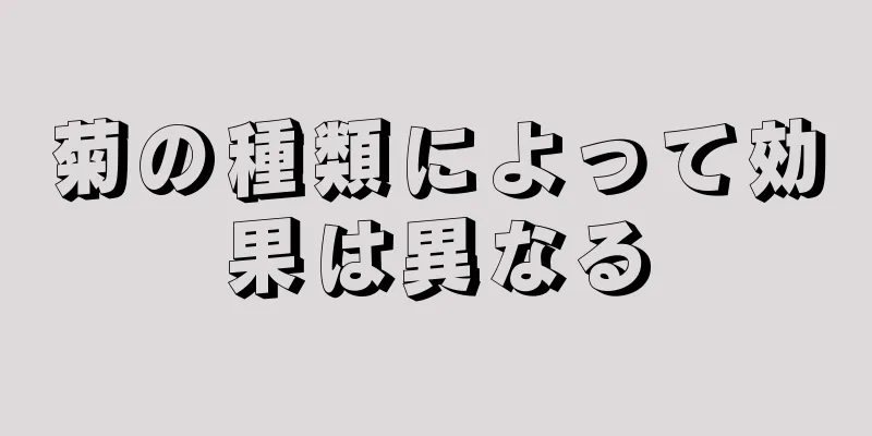 菊の種類によって効果は異なる