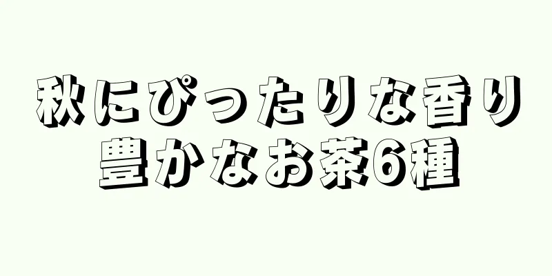 秋にぴったりな香り豊かなお茶6種