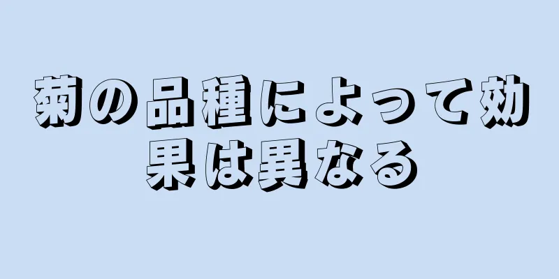 菊の品種によって効果は異なる