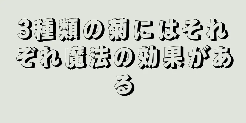 3種類の菊にはそれぞれ魔法の効果がある