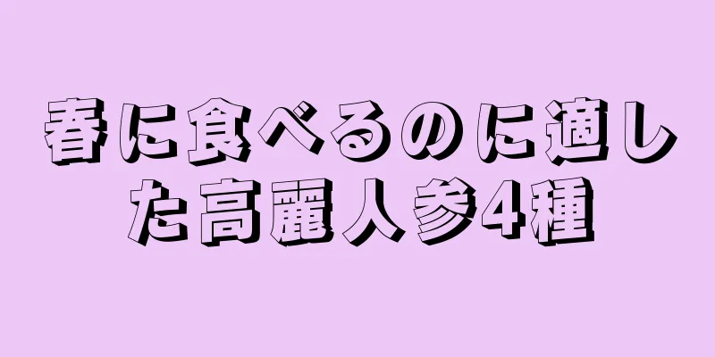 春に食べるのに適した高麗人参4種