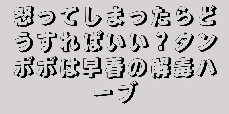 怒ってしまったらどうすればいい？タンポポは早春の解毒ハーブ