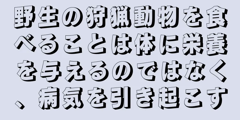 野生の狩猟動物を食べることは体に栄養を与えるのではなく、病気を引き起こす