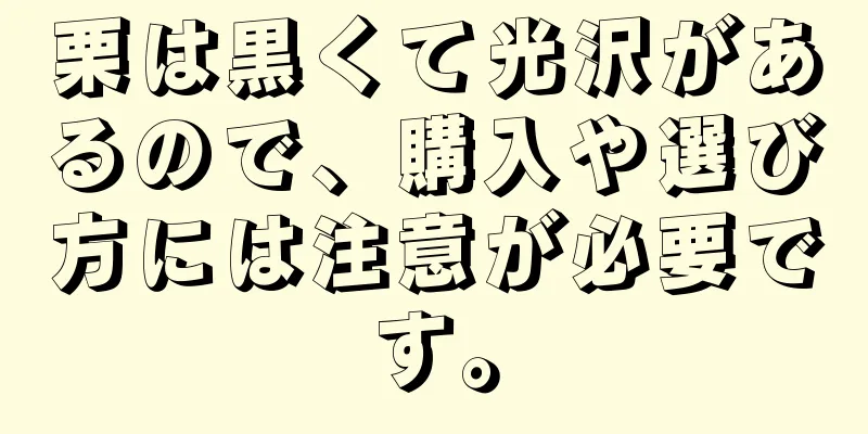 栗は黒くて光沢があるので、購入や選び方には注意が必要です。