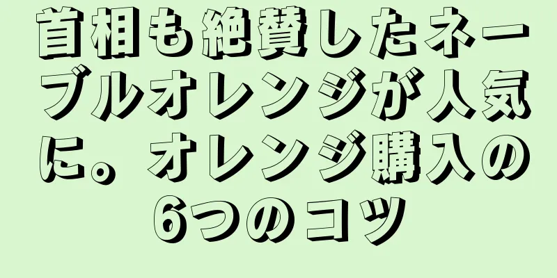 首相も絶賛したネーブルオレンジが人気に。オレンジ購入の6つのコツ